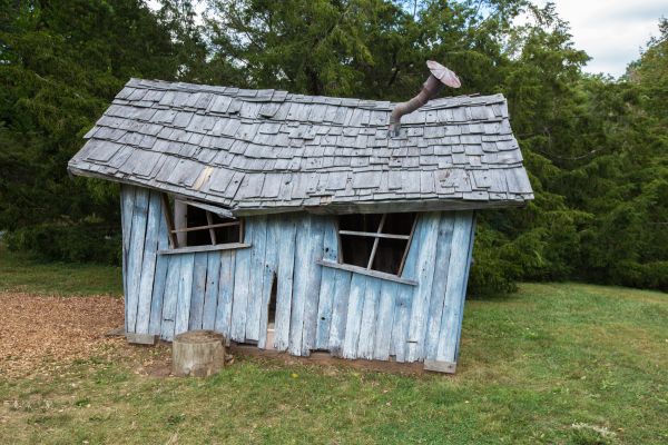 Shed Demolition in Bronx